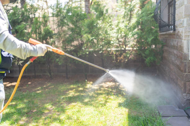 Best Mosquito Control  in Aurora, IL